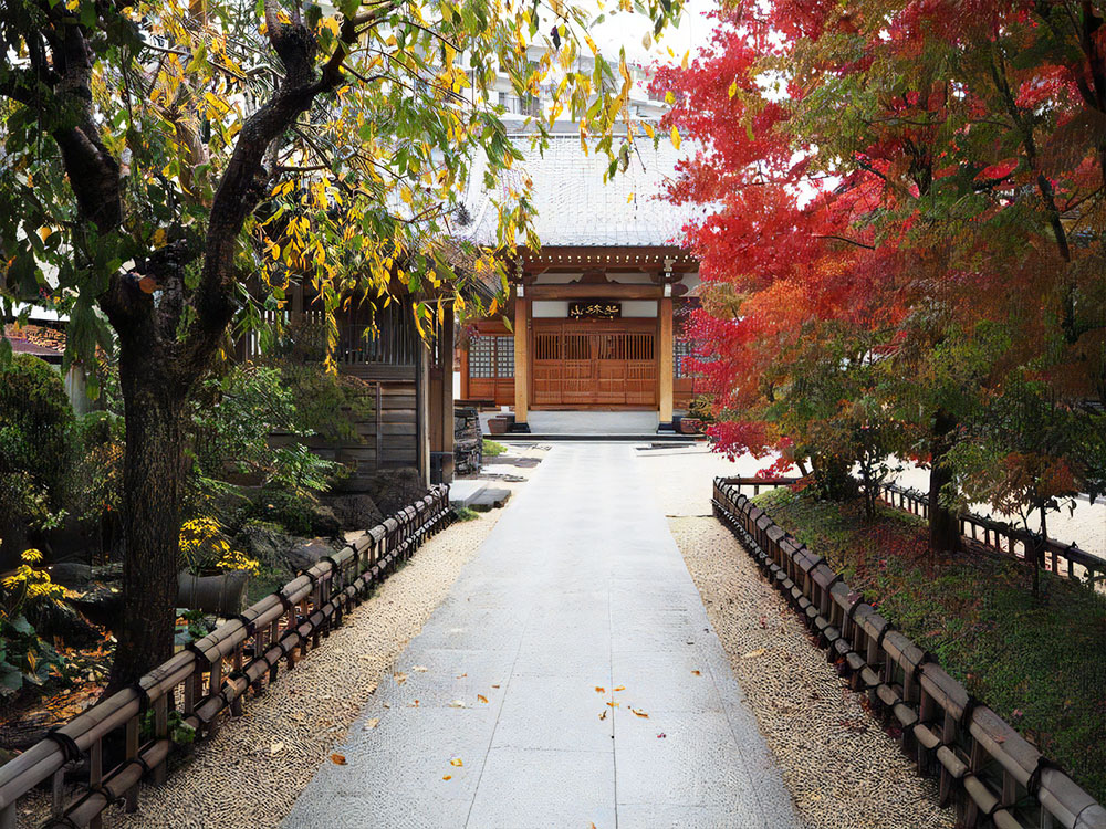 秋の紅葉の境内